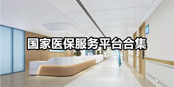 国家医保服务平台