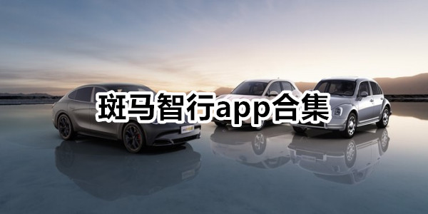 斑马智行