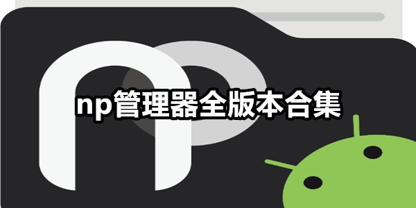 np管理器