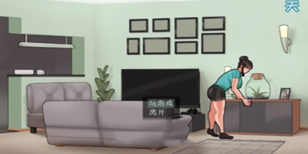 housechoresver