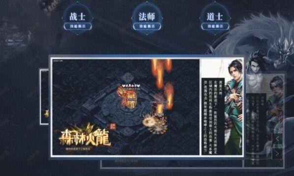 森林网络火龙