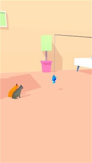 逗猫跑