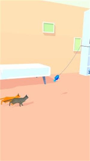 逗猫跑