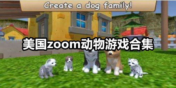 美国zoom动物