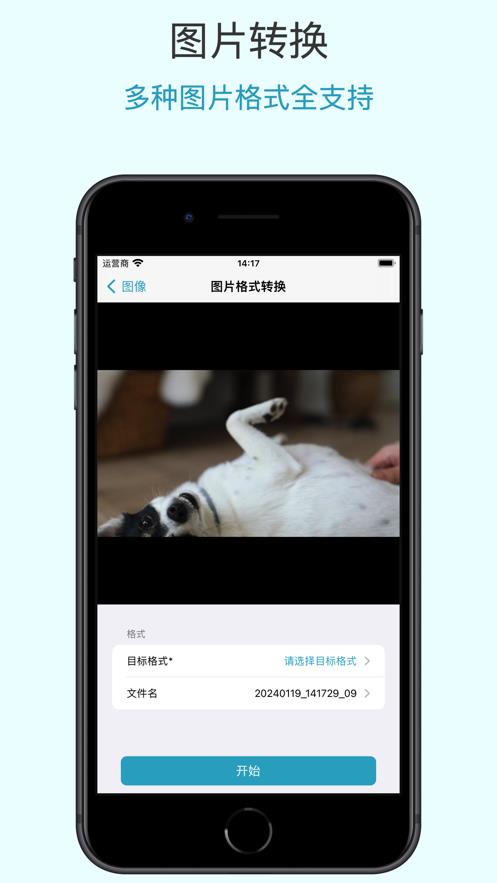 格式专家