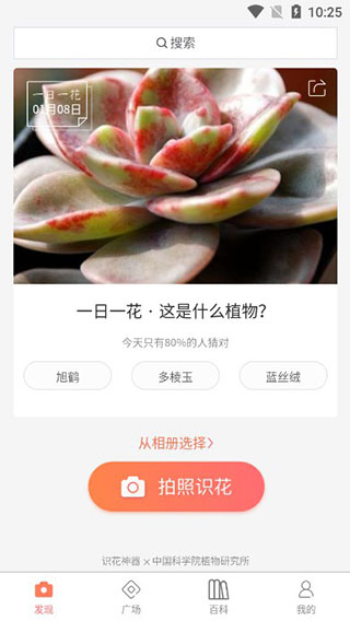 识花君植物识别