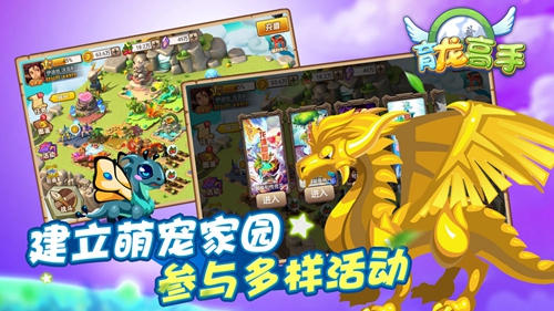 育龙高手华为版