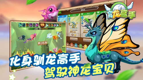 育龙高手华为版