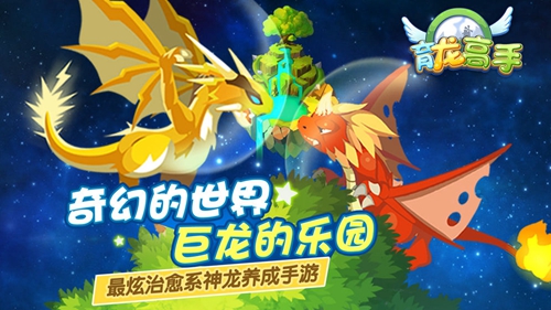 育龙高手华为版
