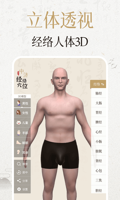 中济经络穴位3D