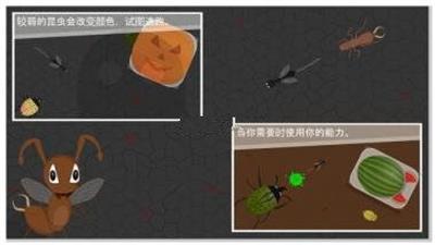 蚁进化