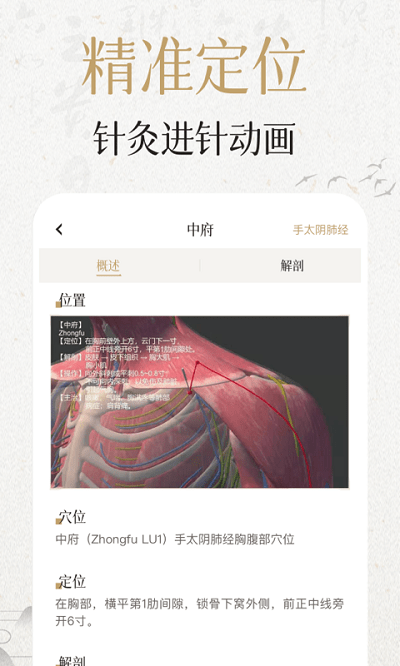 中济经络穴位3D