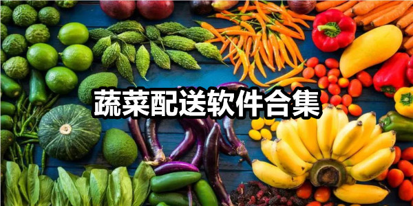 蔬菜配送软件