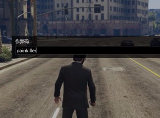 gta5秘籍怎么输入 gta5秘籍使用方法介绍