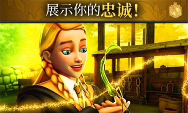 霍格沃茨之谜