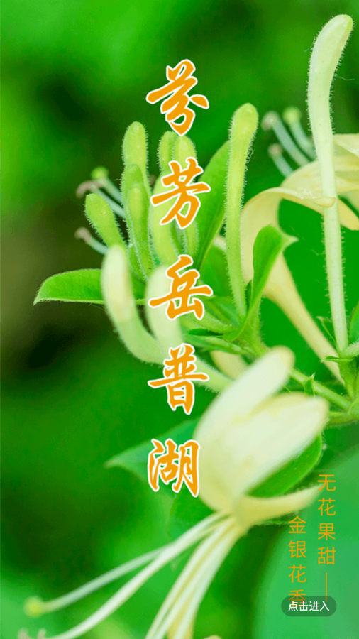 岳普湖好地方