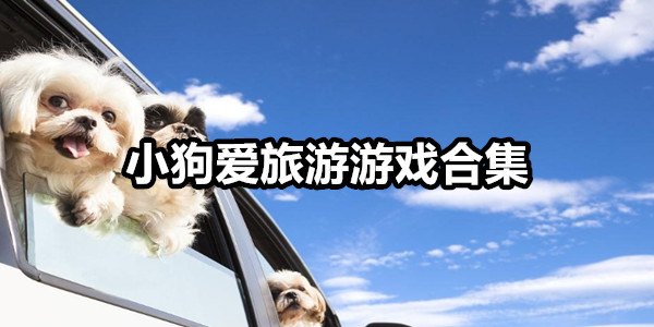 小狗爱旅游