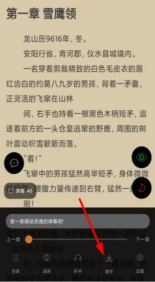 快读小说纯净版