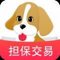 宠物市场交易