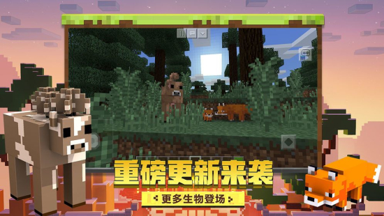 我的世界雾中人