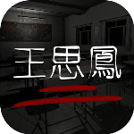 孙美琪疑案系列之王思凤