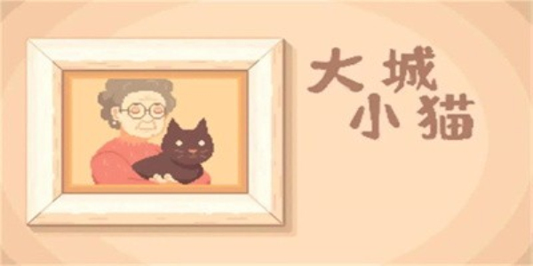 大城小猫无广告