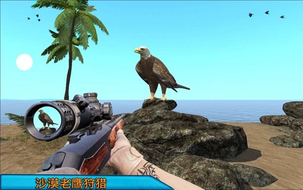 鸟类狩猎沙漠狙击手