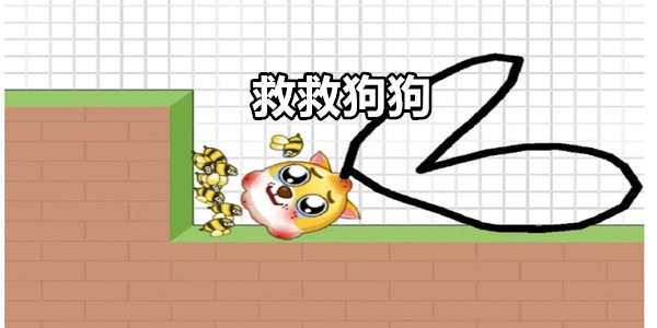 救救狗狗