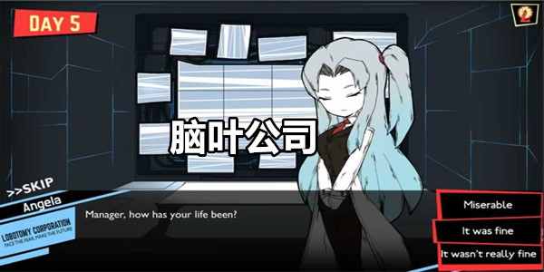 脑叶公司