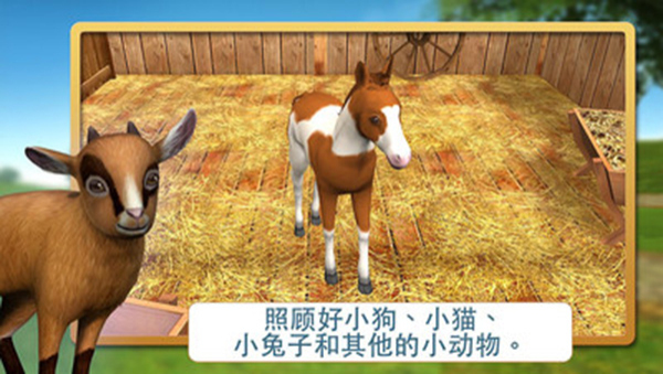 宠物世界3d我的动物救援