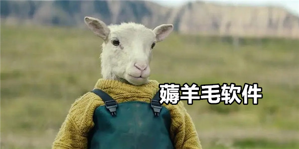 薅羊毛软件