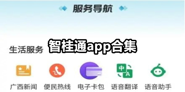 智桂通