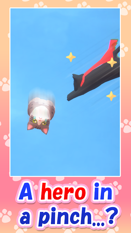 空中的猫