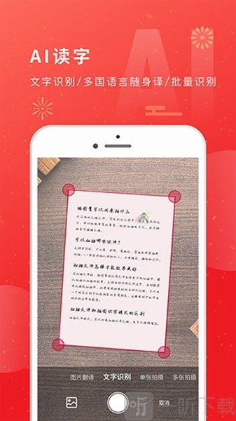 猫图鹰