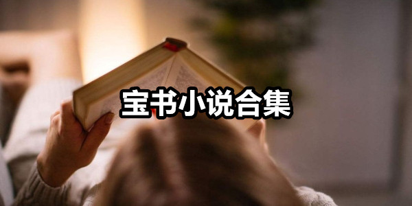 宝书小说