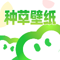 name