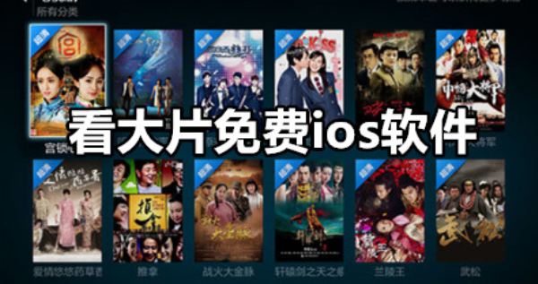 看大片免费ios软件
