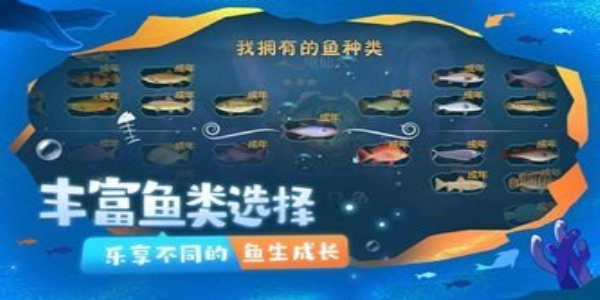 一只鱼免费版