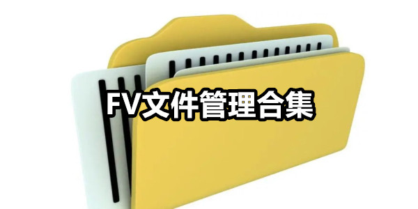 FV文件管理