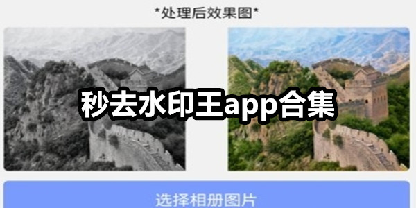 秒去水印王