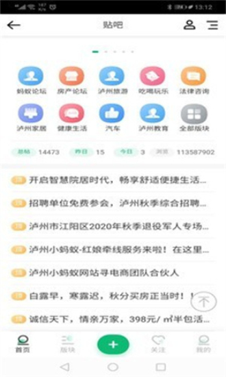 泸州小蚂蚁