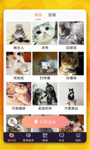 猫语翻译器手机版