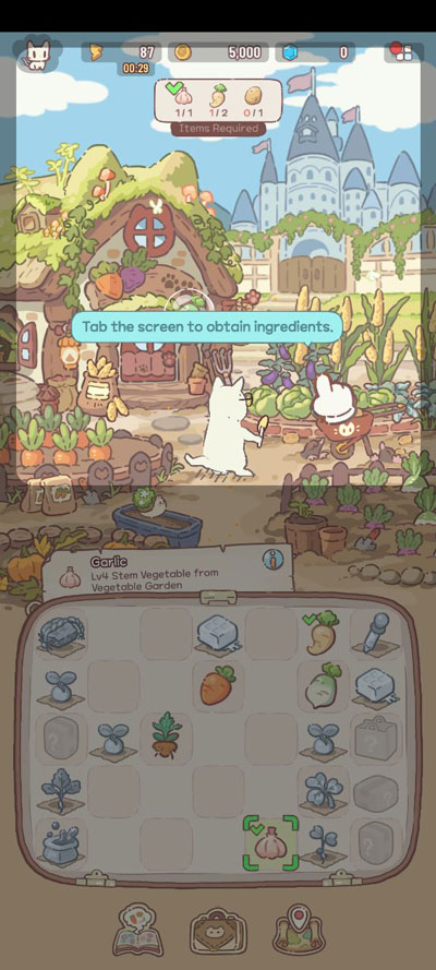 猫咪和汤魔法食谱