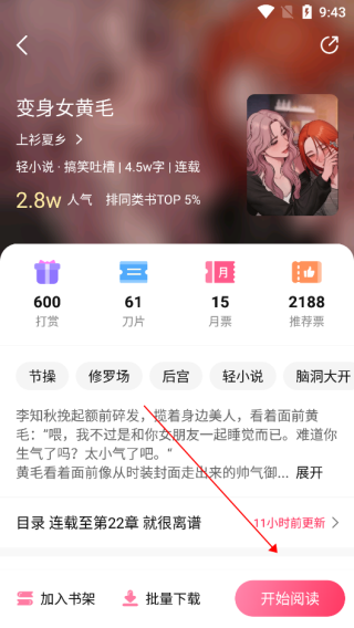 次元姬轻小说