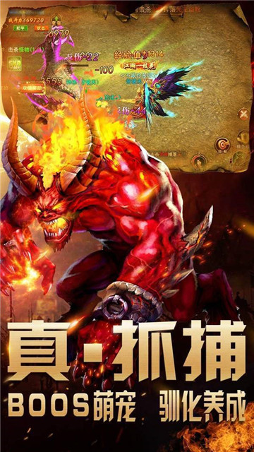 贵族大极品