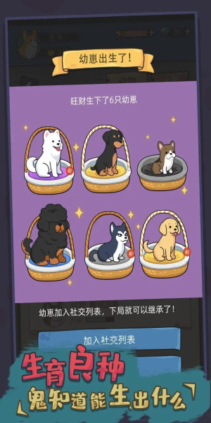 狗生模拟器折相思