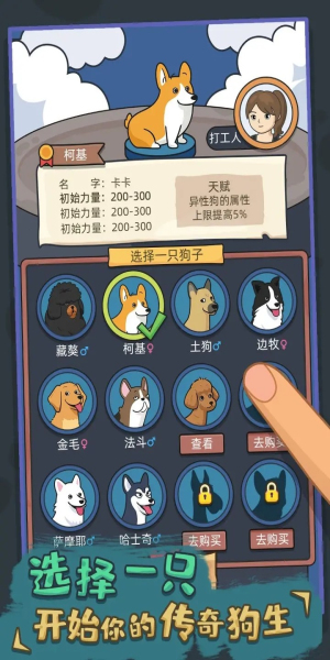 狗生模拟器折相思