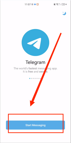 telegeramX中文版