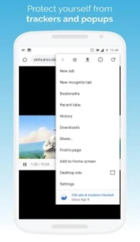 KiwiBrowser