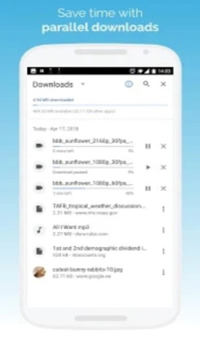 KiwiBrowser